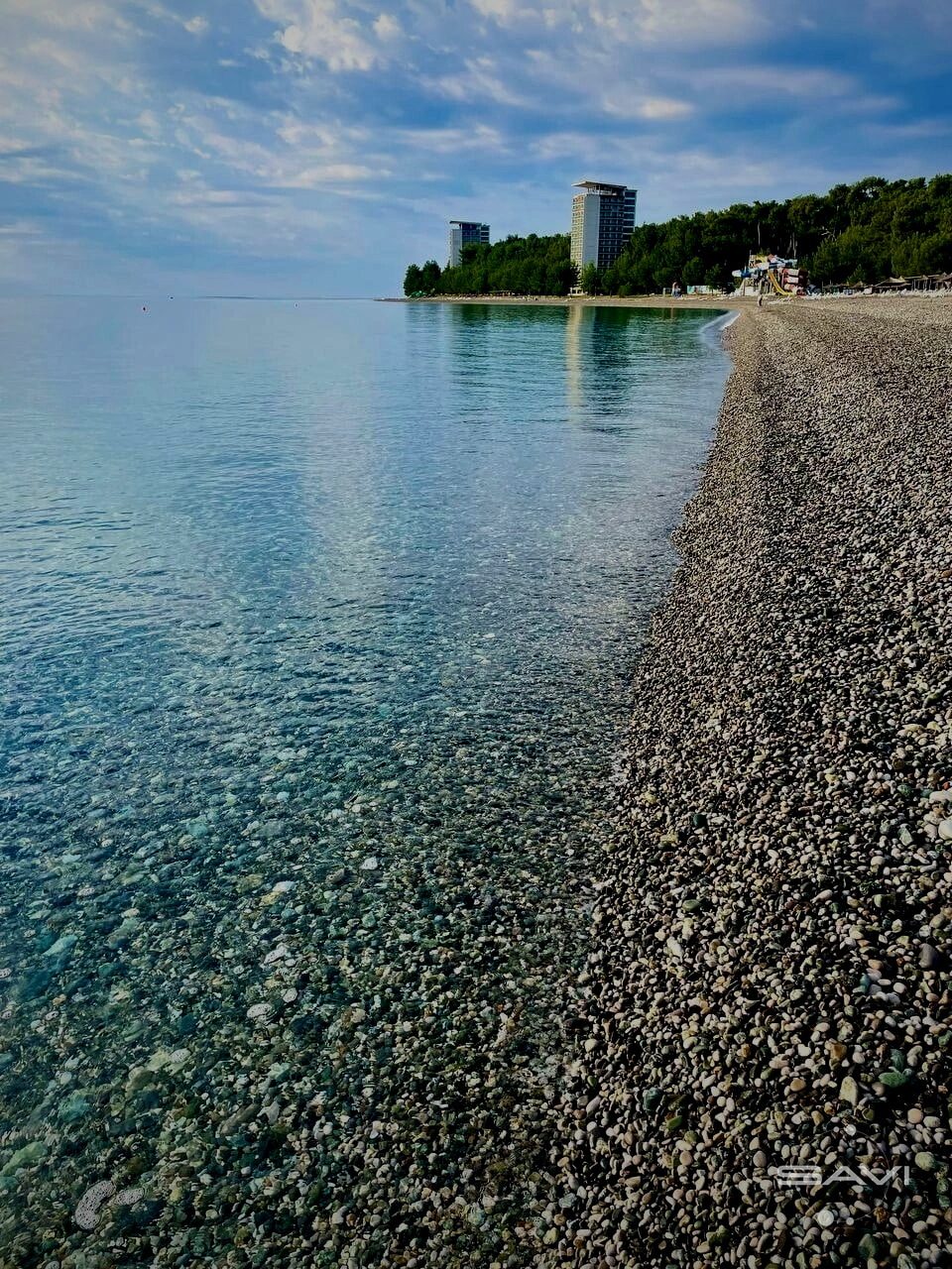 Пицунда сосны пляж панорама Абхазия
