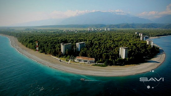 Пицунда сосны пляж панорама Абхазия