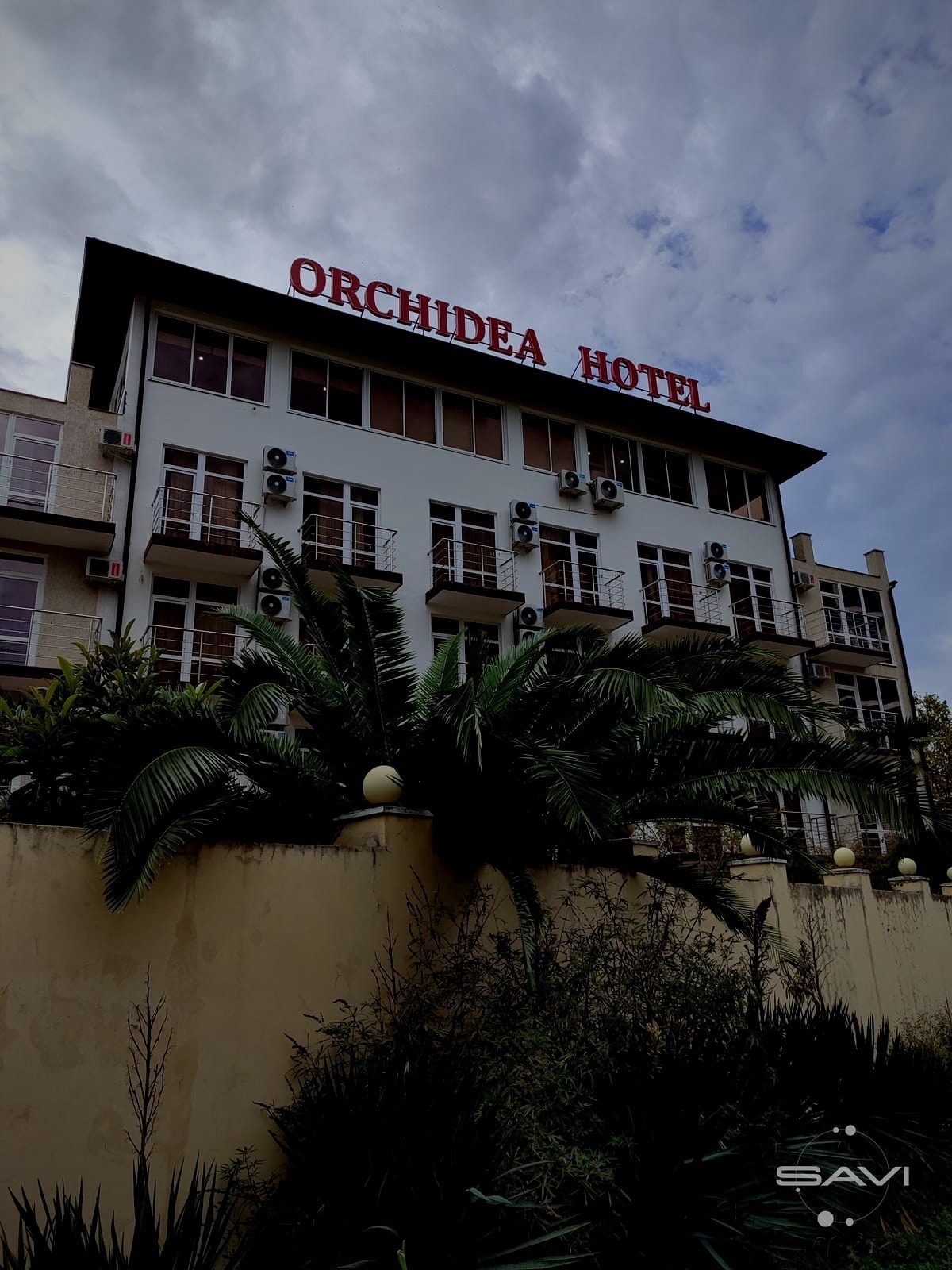 orhideya 374