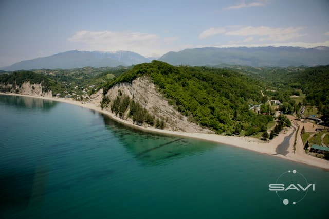 zolotaya buhta 982