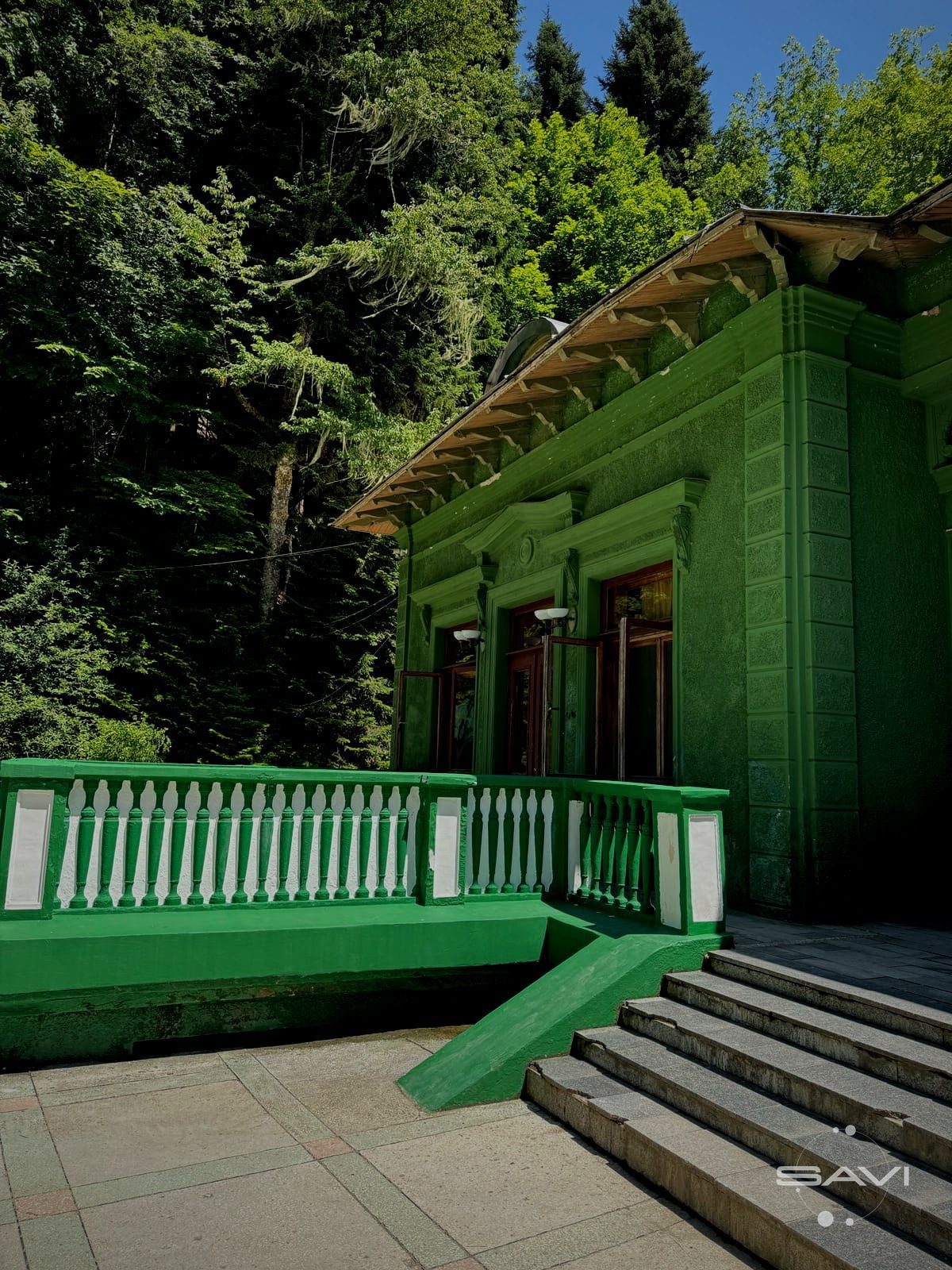 dacha stalina na rice 11
