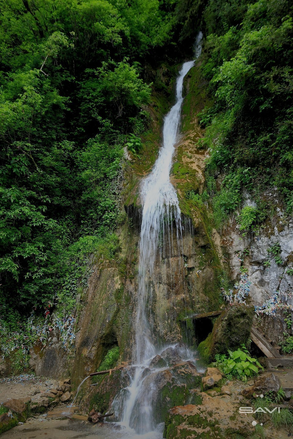 2014 реликтовый парк национальный Рица водопад M skie
